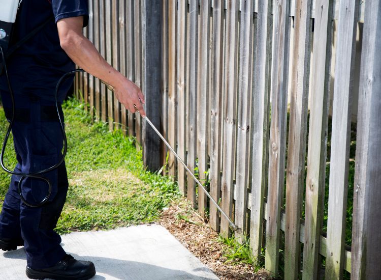 When DIY Fails: Recognizing Signs You Need Professional Pest Control in Tampa